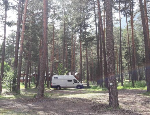 Les Alberts pine forest camp