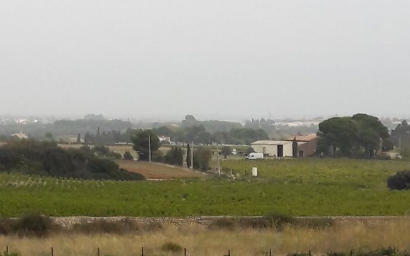 Domaine Plaine vineyard stop